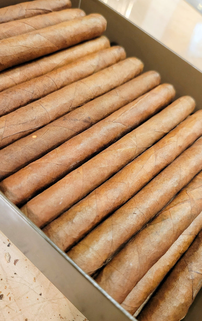 Torres Rapiditos Cigarillos - Bundle of 40